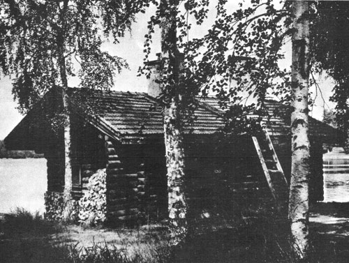 Рис.131. Березы всегда окружают финскую летнюю сауну, их древесина часто используется как топливо для дровяных печей