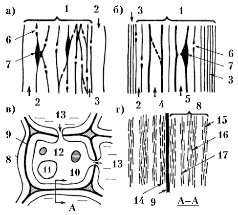 Рис. 77. Принципиальная схема клеточного строения древесины
